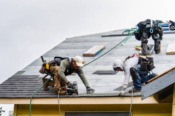 Professional Storm Damage Roof Repair technician working in DeWitt, MI