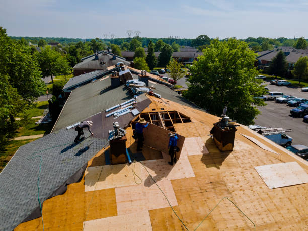 24/7 Emergency Storm Damage Roof Repair experts in DeWitt, MI